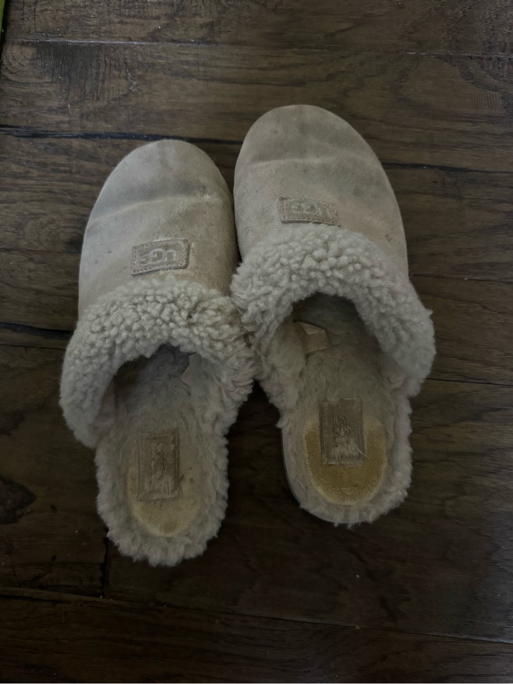 UGG Women's Slip-On Shearling Lined Slippers in Tan